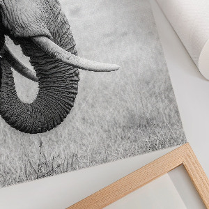 Decorative poster featuring an African elephant
