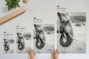 Decorative poster featuring an African elephant