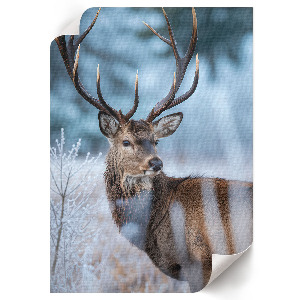 Art print showing a deer in winter