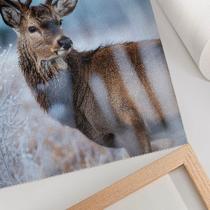 Art print showing a deer in winter