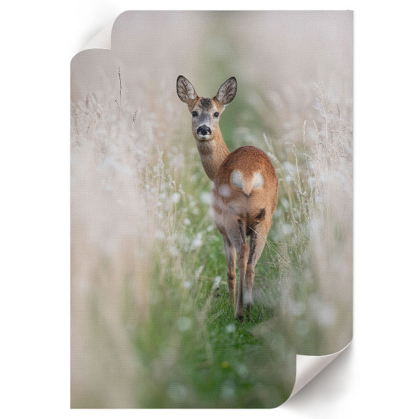 Decorative poster featuring a deer in a natural setting