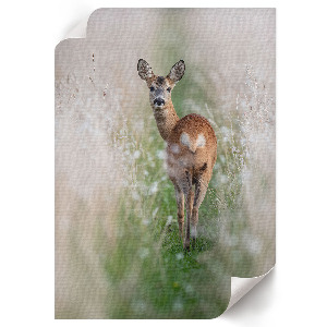 Decorative poster featuring a deer in a natural setting