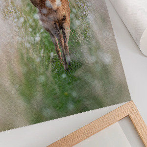Decorative poster featuring a deer in a natural setting