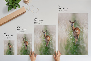 Decorative poster featuring a deer in a natural setting