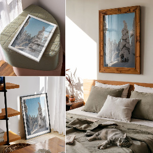 Poster of a coniferous forest in winter