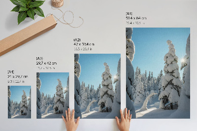 Poster Coniferous forest in winter