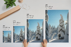 Poster of a coniferous forest in winter