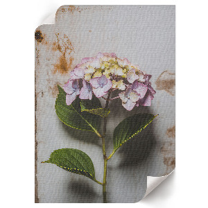 Pink hydrangea wall art