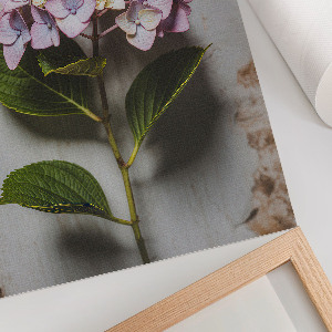 Pink hydrangea wall art