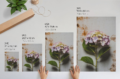 Wall art Pink hydrangea