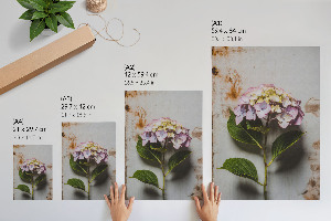 Pink hydrangea wall art