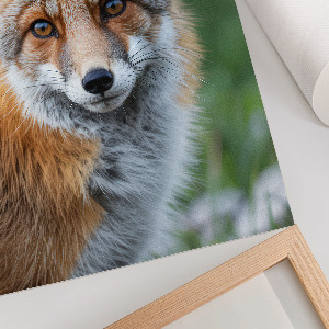 Wall print depicting a fox portrait