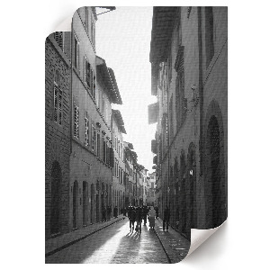 Poster featuring historical architecture