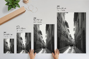 Poster featuring historical architecture