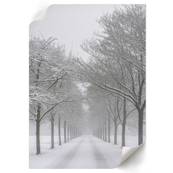 Poster Snowy alley