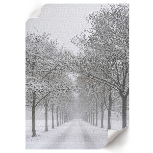 Poster Snowy alley
