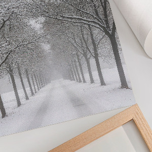 Poster Snowy alley