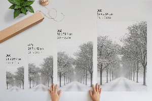 Poster Snowy alley