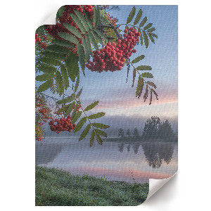 Decorative poster Nature in the morning