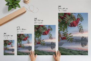 Decorative poster Nature in the morning