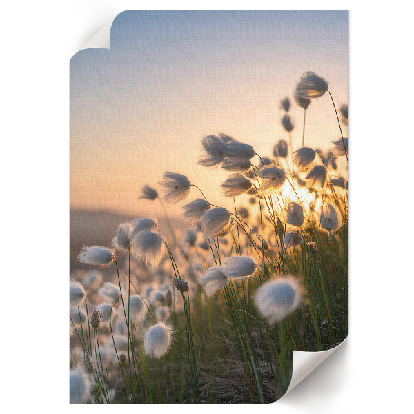 Poster Romantic landscape