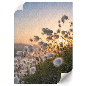 Poster Romantic landscape