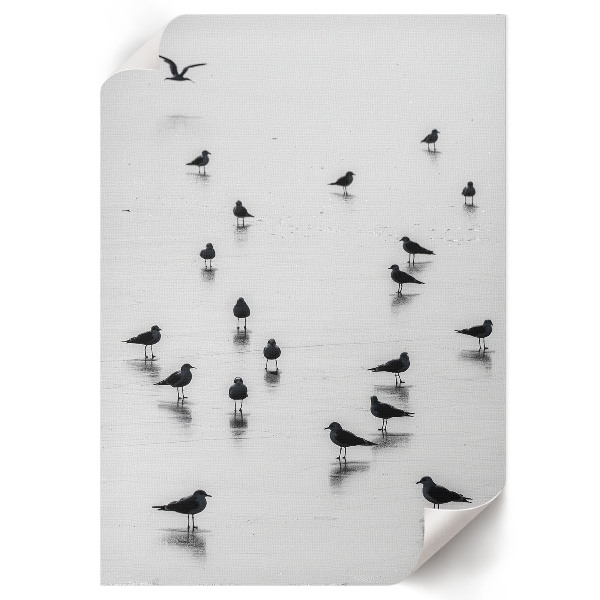 Art print Shorebirds