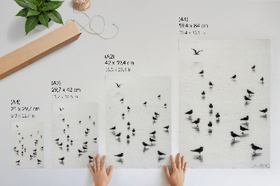 Art print Shorebirds