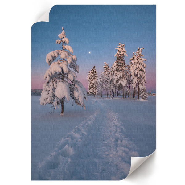 Decorative poster Winter landscape