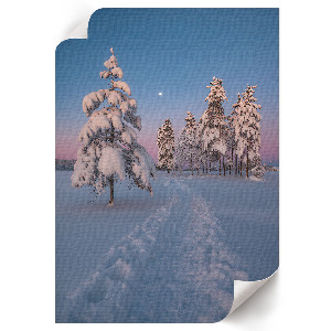 Decorative poster with a winter landscape motif