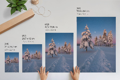 Decorative poster Winter landscape