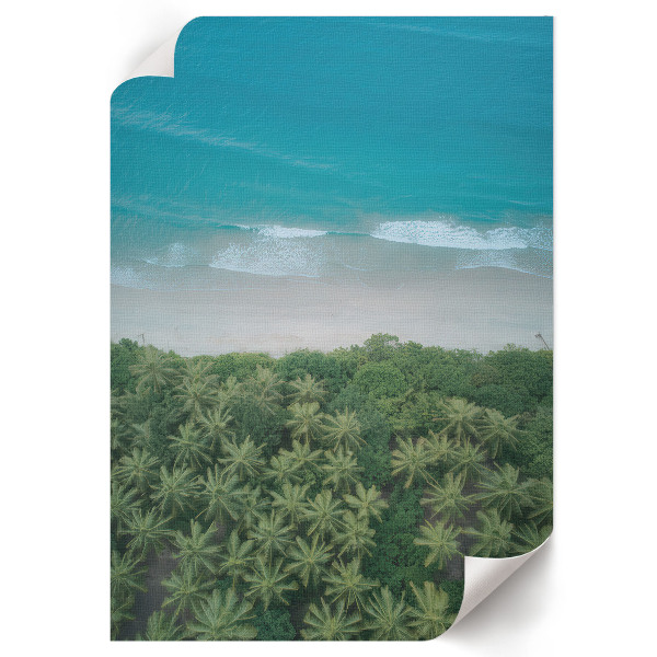 Poster Tropical beach