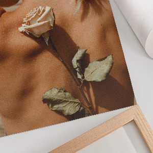 Poster Rose intimacy