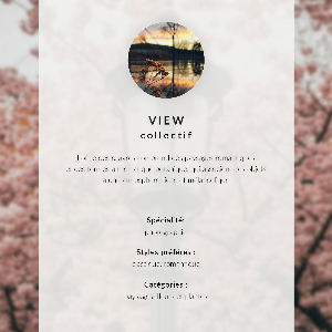 Decorative poster Cherry blossoms