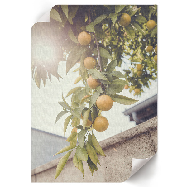 Wall art Summer fruits