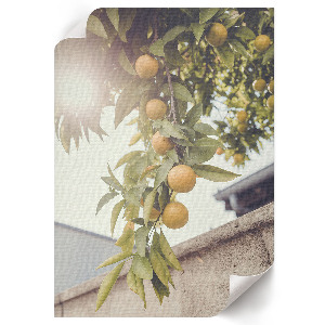 Wall art featuring a summer fruits motif