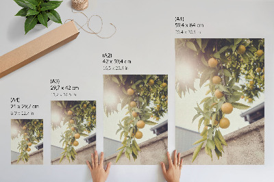 Wall art Summer fruits