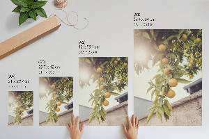 Wall art Summer fruits