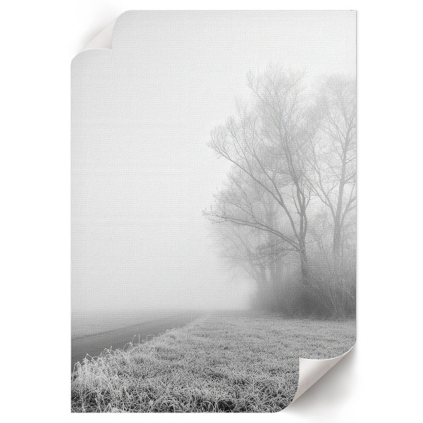 Poster Misty landscape