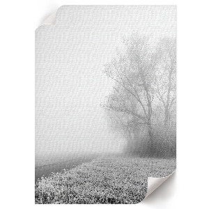 Misty landscape poster
