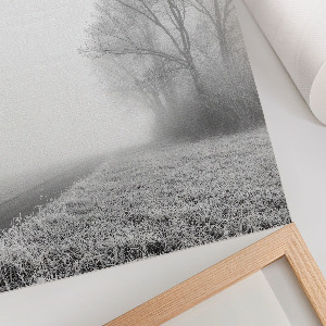 Poster Misty landscape