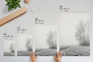 Poster Misty landscape