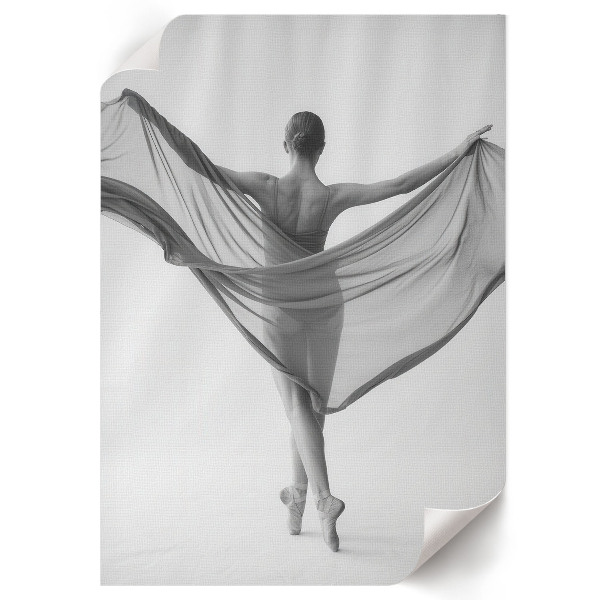 Wall art Ballet beauty