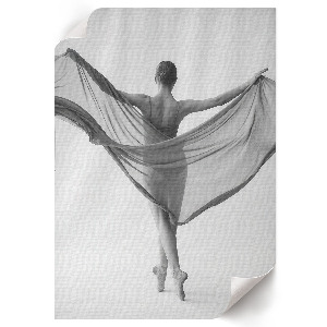 Wall art Ballet beauty