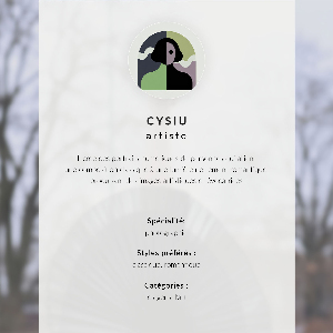 Wall art Ballet beauty