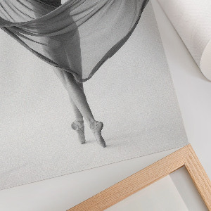 Wall art Ballet beauty