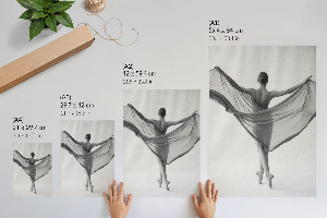 Wall art Ballet beauty