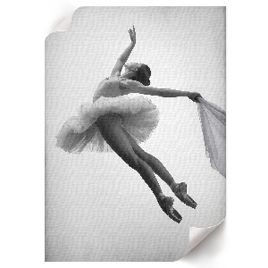 Wall print Dance of elegance