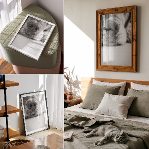 Art print Dog's face