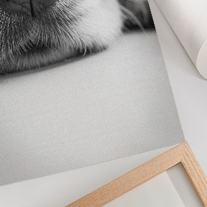 Art print Dog's face